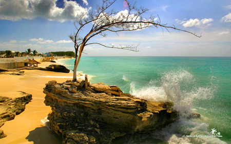 bimini bay resort beach - landscape, beach, sky