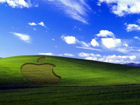 apple nature - landscape, fields