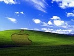 apple nature