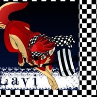 lavi chekered lavi