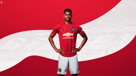 Marcus Rashford - united, manchester united, marcus rashford, english footballer, rashford, football, sport, man united, soccer, red devils