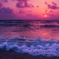 Pink Ocean Sunset