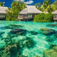 Bungalows in the Bermudas