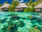 Bungalows in the Bermudas