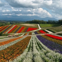 Hokkaido Japan