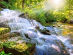 Waterfall in forest