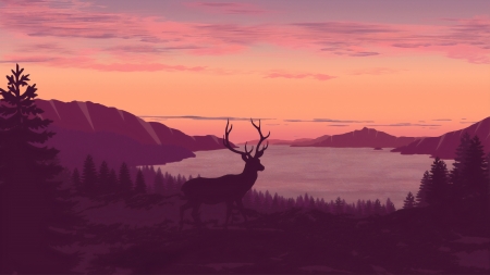 Sunset - sunset, water, aquelion, deer, silhouette, lake, pink, horns