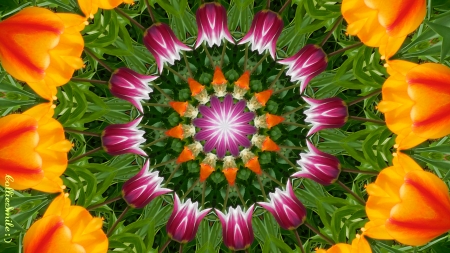 Fancy Floral Abstract - abstract, tulips, kaleidoscope, design, green, golden yellow, tulip, kaleidoscopes too1