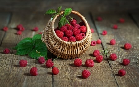 Raspberries - basket, wooden, photo, raspberries