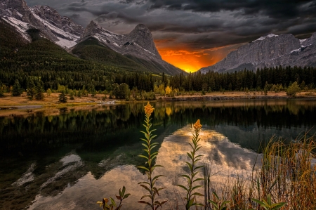 Hiding sun - wildflowers, hills, reflection, beautiful, hide, lake, sunset, mountain