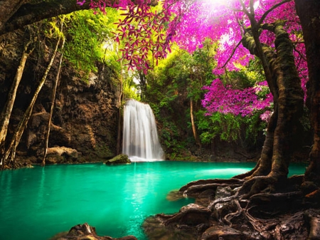 Waterfall in autumn forest - Nature, Thailand, Tropical trees, Rainforest
