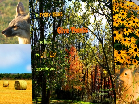 Give Thanks - dove, hay, trees, flowers, Bible, fox