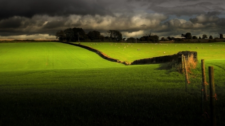 sky - fields, grass, green, nature, sky