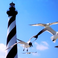 Cape Hatteras Lighthouse,Outer Banks North Carolina