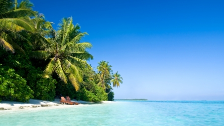 Paradise Island - nature, islands, palm trees, beaches