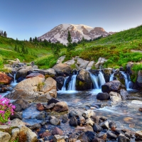Mount Rainier NP