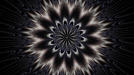 Abstract - abstract, black, flower, iplywittrees, luminos, texture, white