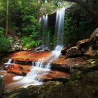 Waterfall in forest