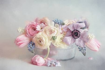 Still life - still, flower, pink, anemone, life, pastel