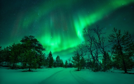 Northern lights