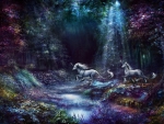 Fantasy forest