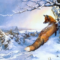 Fox