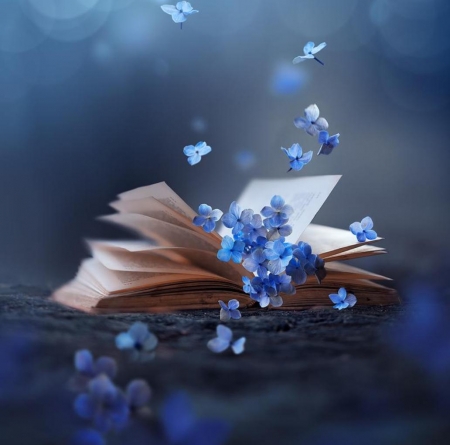 ♥ - blue, book, flowers, abstract