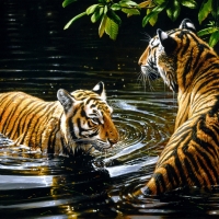 Tigers