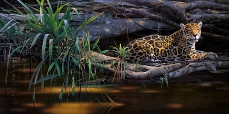 Leopard - pictura, leopard, water, painting, art