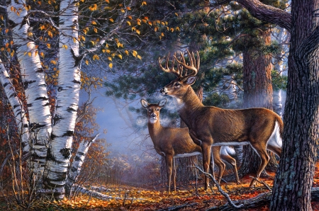 Deers - art, caprioara, cerb, couple, deer, forest, james meger, painting, pictura