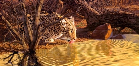 Leopard - pictura, leopard, animal, water, painting, greg beecham, golden, art