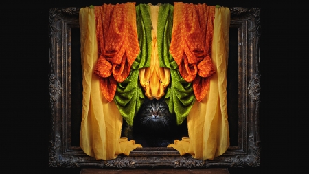Portrait of a cat - black, cat, colorful, green, orane, pisici, portrait, scarf, yellow