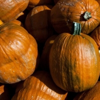 Pumpkins