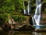 Forest waterfall