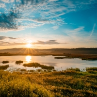 Lakeshore Landscape at Dawn