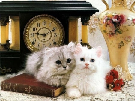 kittens with clock - cats, clock, kittens, animals