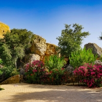 Garden in Spain