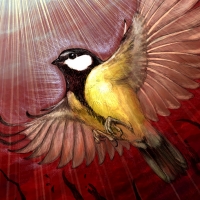 Great Tit