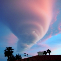 Fat Lenticular-funnel Palm Spring CA