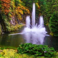 Butchart Gardens