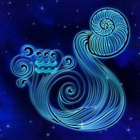 Zodiac ~ Aquarius