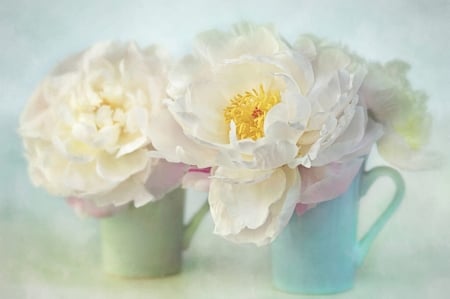 Peonies - yellow, blue, flower, still life, peony, white, green, bujor, cup