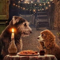 Lady and the tramp 2019