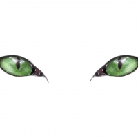 Cat's eyes