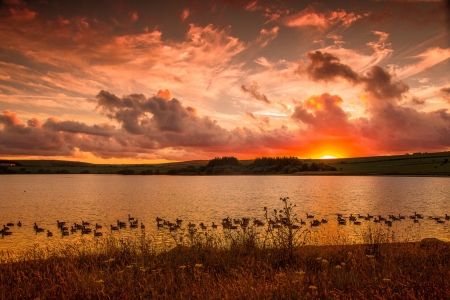 Sunrise - lake, Sunrise, nature, sky