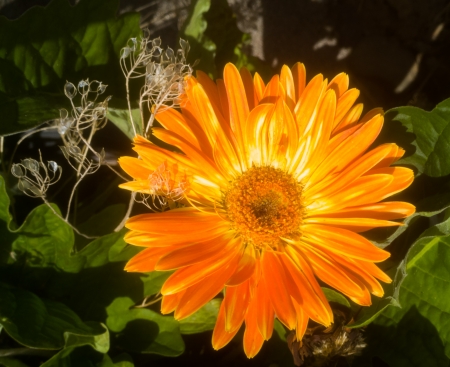 beautiful things everywhere