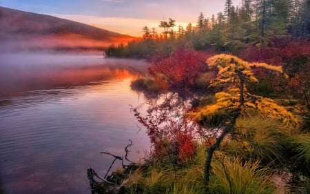 Serenity - hill, trees, sunset, lake, sky