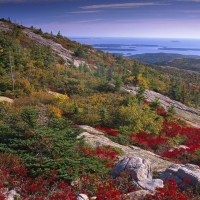 Fall in Acadia National Park