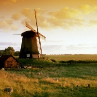 The Windmill In Autumn