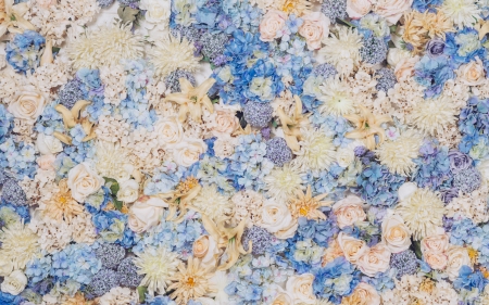 Flowers - blue, carpet, flower, skin, texture, white, yellow